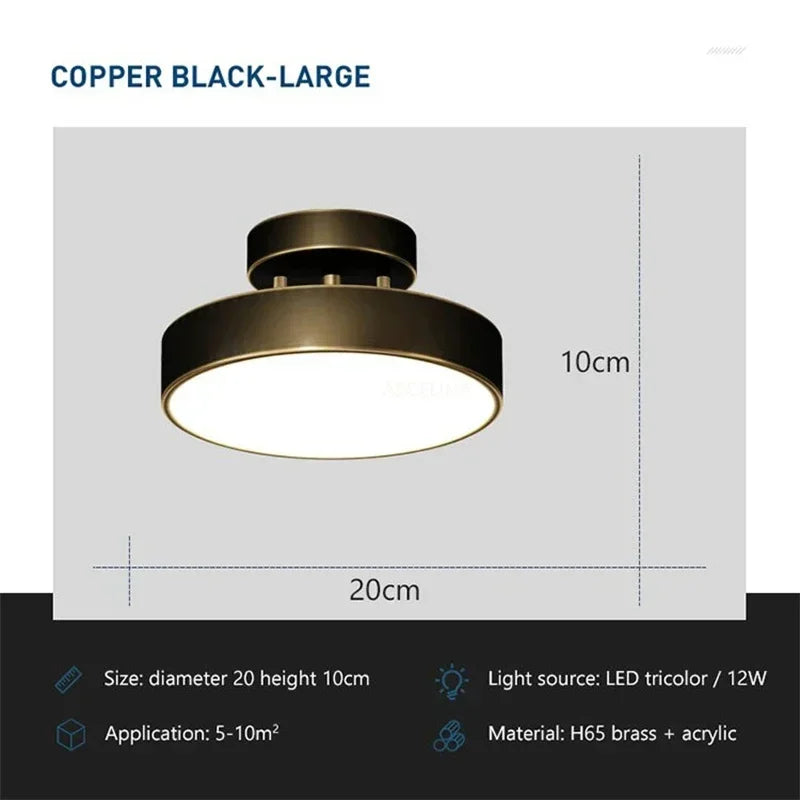 Darhyn LED Ceiling Light Modern Rotatable Lamp