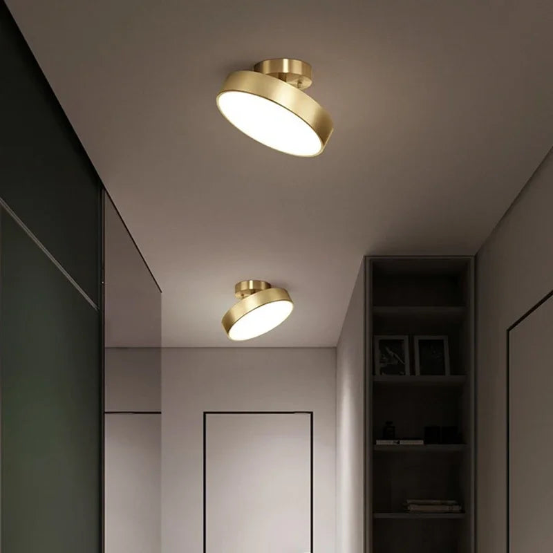 Darhyn LED Ceiling Light Modern Rotatable Lamp