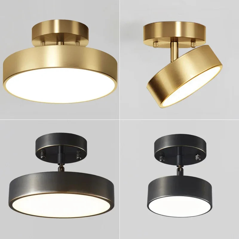 Darhyn LED Ceiling Light Modern Rotatable Lamp