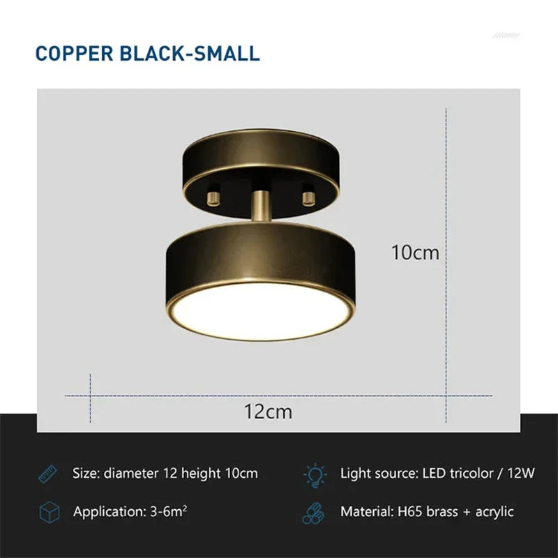 Darhyn LED Ceiling Light Modern Rotatable Lamp